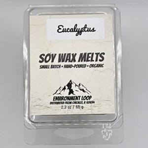 Environment Loop Wax Melt Cubes, 1 Pack of 2.3 OZ Soy Wax Melts for Warmers, Maximum Scent (Eucalyptus Aromatherapy)