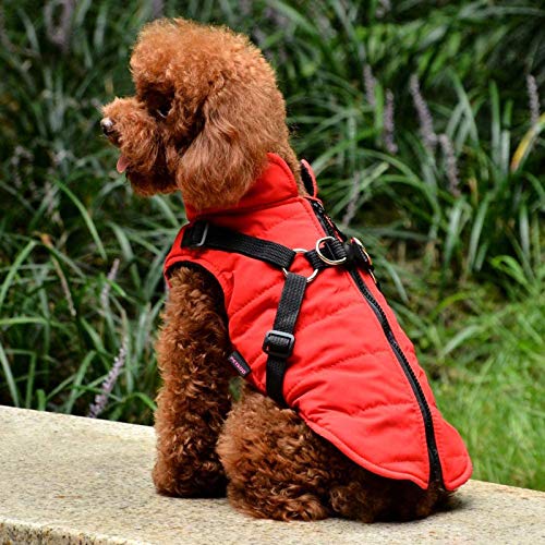 Jacket Winter Cold Costume Clothing Weather Warm Pet Coat Dog Boy Girl Chihuahua Yorkies Puppy Outfits Summer Beach Apparel Windproof Pet Clothes