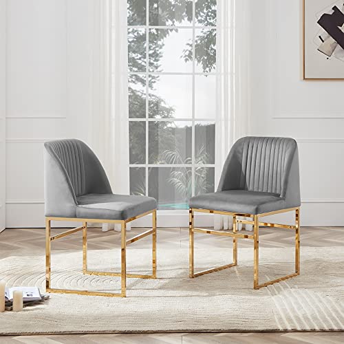 Cozy Castle Modern Dining Chair Set of 2, Upholstered Dining Room Chairs with Gold Metal Base, Classic Velvet Fabric Kitchen Chairs, Gray