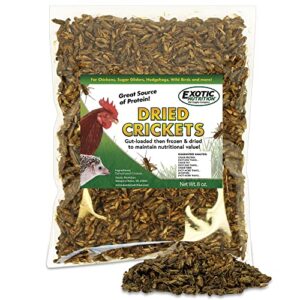 8 oz dried crickets - high protein insect treat - chickens, wild birds, hedgehogs, bluebirds, reptiles, sugar gliders, opossums, skunks, lizards, bearded dragons, fish, amphibians, turtles (1)