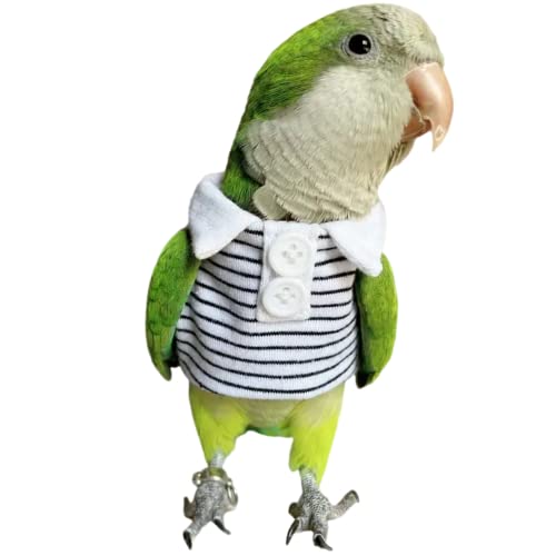 Bird Costume Bird Diaper Flight Suit Bird Summer Clothes Cosplay Photo Prop for Parrots Lovebird Parakeet Cockatiel Small Animals Apparel (Without Diaper,Green-cheeked Conure)