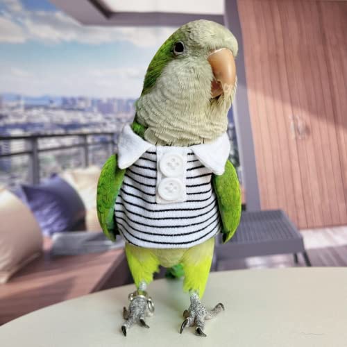 Bird Costume Bird Diaper Flight Suit Bird Summer Clothes Cosplay Photo Prop for Parrots Lovebird Parakeet Cockatiel Small Animals Apparel (Without Diaper,Green-cheeked Conure)