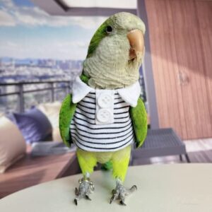 Bird Costume Bird Diaper Flight Suit Bird Summer Clothes Cosplay Photo Prop for Parrots Lovebird Parakeet Cockatiel Small Animals Apparel (Without Diaper,Budgie)