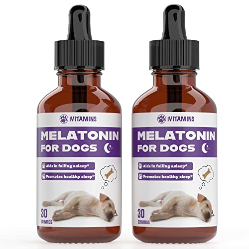 Melatonin for Dogs | Dog Melatonin | Melatonin for Dogs Sleep | Sleep Aid for Dogs | Dog Sleep Aid | Dog Calming | Calming for Dogs | Dog Calming Treats | Dog Anxiety Relief | (2 Pack)