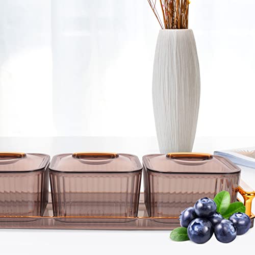 UPKOCH Trays Serving Tray Food Storage Containers with Tray 3 Compartment Condiment Server with Lid Desktop Organizer Decorative Nut Candy Treat Box Decorative Tray Containers with Lids