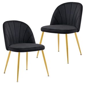 x-volsport modern velvet dining chairs set of 2, tufted upholstered club chairs armless side chair with metal gold legs, office guest chair for reception, accent chair for living room bedroom, black