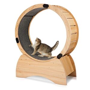 hooseng cat exercise wheel, cat treadmill with carpeted runway and noiseless roller, cat running wheel for pet loss weight and daily exercise