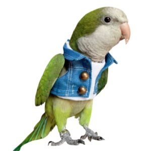 wcdjomop bird clothes - handmade cotton denim jacket shirt with bronze button flight suit for parrots african greys parakeet cockatiel sun conure parrot cosplay apparel bird supplies (l)