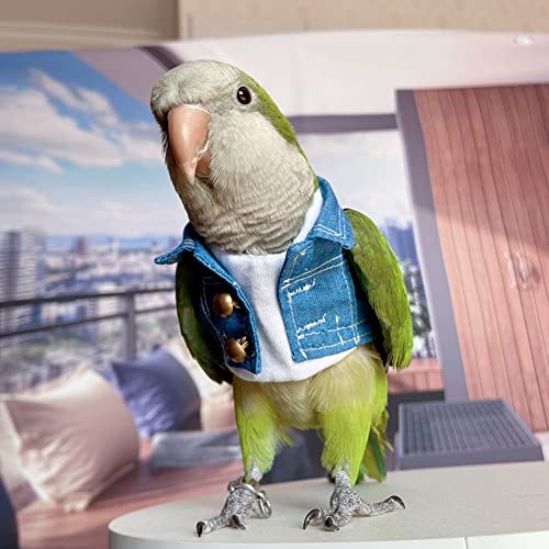 WCDJOMOP Bird Clothes - Handmade Cotton Denim Jacket Shirt with Bronze Button Flight Suit for Parrots African Greys Parakeet Cockatiel Sun Conure Parrot Cosplay Apparel Bird Supplies (L)