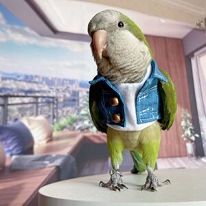 WCDJOMOP Bird Clothes - Handmade Cotton Denim Jacket Shirt with Bronze Button Flight Suit for Parrots African Greys Parakeet Cockatiel Sun Conure Parrot Cosplay Apparel Bird Supplies (L)