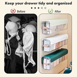 Qoyntuer Wall Mounted Underwear Drawer Organizer, Switchable 6 Cell Drawer Acrylic Sock and Underwear Organizer Anti Dust Underwear Storage Boxes for Underwear, Bra,Socks,Ties,Belts