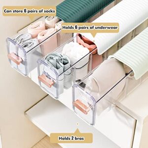 Qoyntuer Wall Mounted Underwear Drawer Organizer, Switchable 6 Cell Drawer Acrylic Sock and Underwear Organizer Anti Dust Underwear Storage Boxes for Underwear, Bra,Socks,Ties,Belts