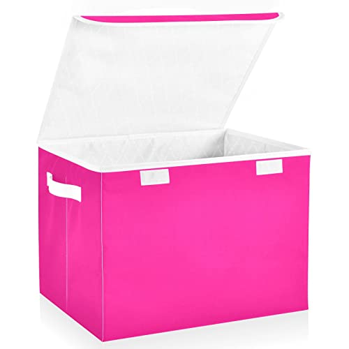 WELLDAY Plain Deep Pink Solid Color Storage Baskets Foldable Cube Storage Bin with Lids and Handle, 16.5x12.6x11.8 In Storage Boxes for Toys, Shelves, Closet, Bedroom, Nursery