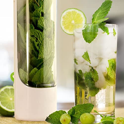 LIANGLIDE Fresh Herb Keeper,Herb Saver for Refrigerator,Herb Saver Pod,Vegetable Preservation Bottle,Keep Fresh Cup for Cilantro,Mint,Parsley,Asparagus,Keeps Greens Fresh for 2-3 Weeks