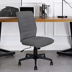 Ergonomic Home Office Desk Chair – Computer Mesh Adjustable Task Swivel Tilt Tension Armless Cushion Mid-Fiber Mesh Lumbar Support (Dark Gray)