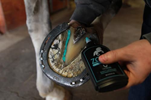 Therazure Zomp Liquid Hoof Thrush and White Line Treatment for Horses: Effective for Thrush Relief and Prevention on All Hooved Animals