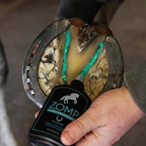 Therazure Zomp Liquid Hoof Thrush and White Line Treatment for Horses: Effective for Thrush Relief and Prevention on All Hooved Animals