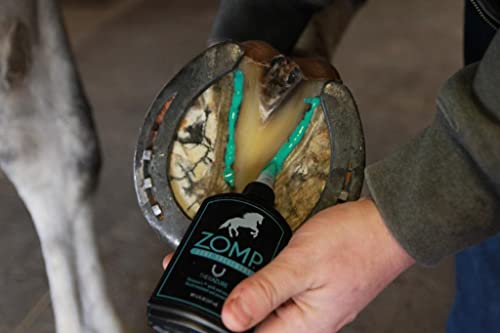 Therazure Zomp Liquid Hoof Thrush and White Line Treatment for Horses: Effective for Thrush Relief and Prevention on All Hooved Animals