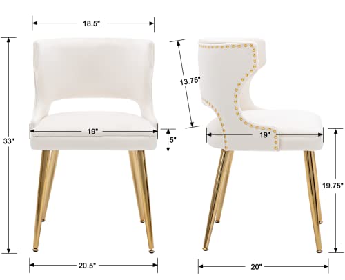 EALSON Velvet Dining Chairs Set of 2 Comfy Upholstered Dining Room Chairs with Gold Metal Legs Modern Accent Kitchen Chairs Armless Side Chairs for Living Room/Dining Room, Beige