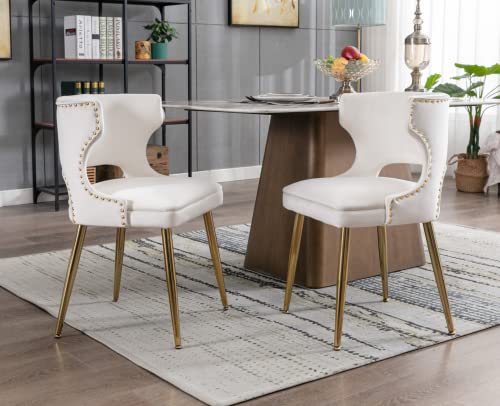 EALSON Velvet Dining Chairs Set of 2 Comfy Upholstered Dining Room Chairs with Gold Metal Legs Modern Accent Kitchen Chairs Armless Side Chairs for Living Room/Dining Room, Beige