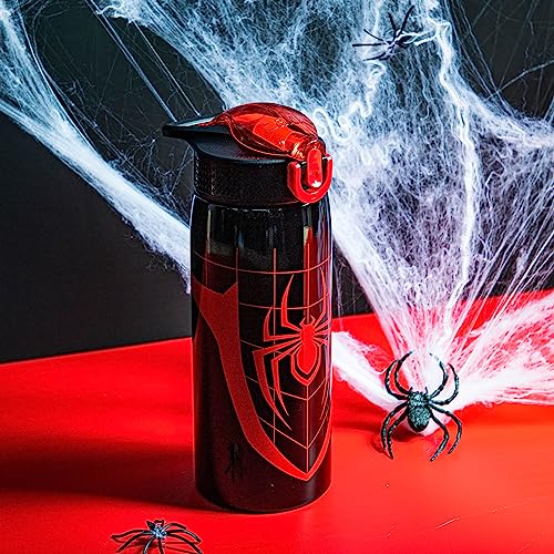 Zak Designs Marvel Spider-Man Water Bottle for Travel and At Home, 19 oz Vacuum Insulated Stainless Steel with Locking Spout Cover, Built-In Carrying Loop, Leak-Proof Design (Miles Morales)