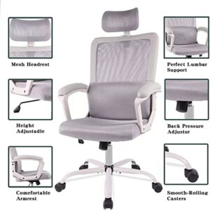 XBWEI Mesh Office Computer Swivel Desk Task Ergonomic Executive High Back Chair