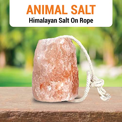 Yield Titan Himalayan Pink Salt 30 LB, Salt Licks for Animals Licking Block for Horses, Cows, Deer, and Other Livestock - Rope Included (8 Qty)