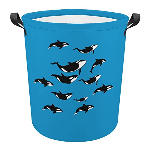 Orcas Killer Whale Large Laundry Basket Hamper Bag Washing with Handles for College Dorm Portable