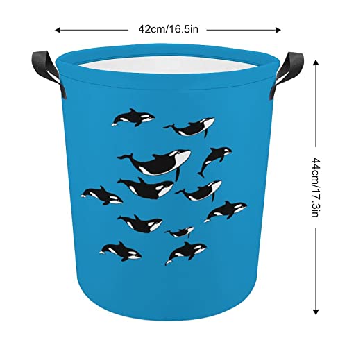 Orcas Killer Whale Large Laundry Basket Hamper Bag Washing with Handles for College Dorm Portable