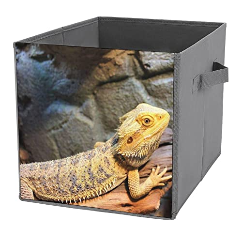 Bearded Dragon Collapsible Storage Bins Cubes Organizer Trendy Fabric Storage Boxes Inserts Cube Drawers 11 Inch