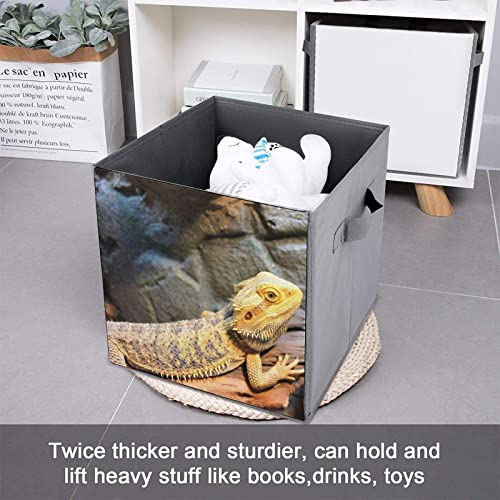 Bearded Dragon Collapsible Storage Bins Cubes Organizer Trendy Fabric Storage Boxes Inserts Cube Drawers 11 Inch