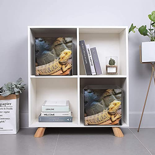 Bearded Dragon Collapsible Storage Bins Cubes Organizer Trendy Fabric Storage Boxes Inserts Cube Drawers 11 Inch
