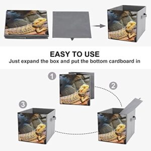 Bearded Dragon Collapsible Storage Bins Cubes Organizer Trendy Fabric Storage Boxes Inserts Cube Drawers 11 Inch