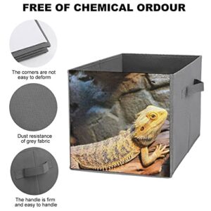 Bearded Dragon Collapsible Storage Bins Cubes Organizer Trendy Fabric Storage Boxes Inserts Cube Drawers 11 Inch