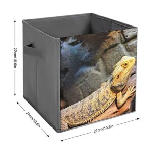 Bearded Dragon Collapsible Storage Bins Cubes Organizer Trendy Fabric Storage Boxes Inserts Cube Drawers 11 Inch