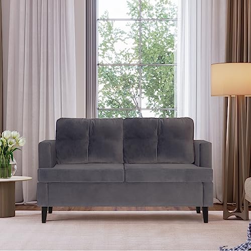 Milliard Loveseat, Velvet Love Seat, Small Couch