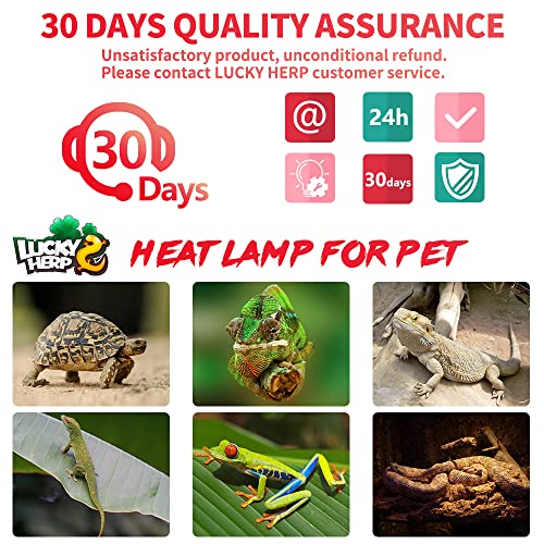 LUCKY HERP 2 Pack 100W Reptile Heat Lamp Bulb, Amphibian Infrared Basking Spot Light Bulb for Turtle, Bearded Dragon, Lizard, etc