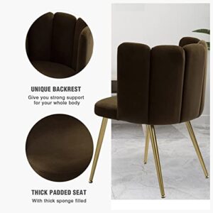 NIOIIKIT Velvet Dining Chairs, Modern Vanity Chairs, Upholstered Accent Chairs with Gold Metal Legs, Comfy Side Chair with Shell Backrest Design for Dining Room, Living Room, Bedrooms (Brown)