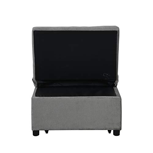 Gray Sofa Bed with Storage（Folding）