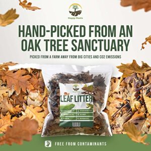 Organic Oak Leaf Litter Hand Collected and Packaged. 4 Quarts.