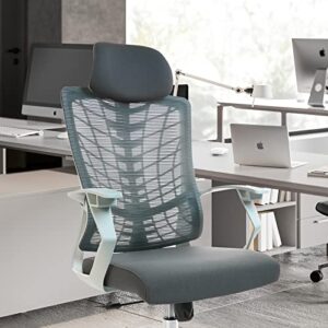 CLATINA Ergonomic High Swivel Executive Chair with Adjustable Height Fabric Headrest Lumbar Support and Mesh Backrest for Home Office, Grey 1 Pack