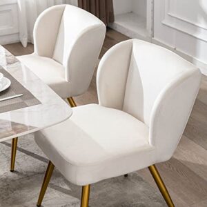 VESCASA Velvet Dining Chairs with Padded Back, Modern Upholstered Accent Chairs with 4 Gold Metal Legs for Dining/Living Room/Bedroom, Set of 2, Cream