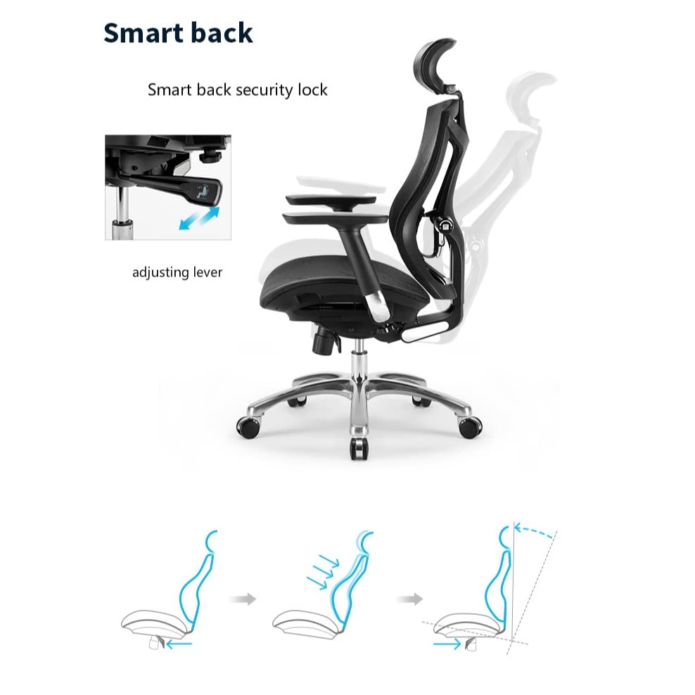 ZHAOLEI Ergonomic Computer Chair Home Waist Engineering Office Chair E-Sports Seat Human Design Multi-Function Adjustment