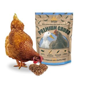 eaton pet & pasture, usa premium dried black soldier fly larvae 1 lb, high calcium treat for chickens, ducks, wild birds