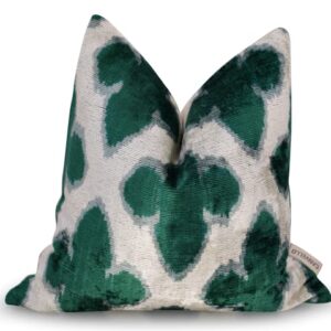 CANVELLO-Exquisite Down Pillow/Throw Cushion: Feather Pillows Elegance & Art | Iconic Throw Pillows with Ikat Design  | Soft Velvet Silk  (16"x16")