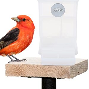 Automatic Bird Feeder, No Parrot Cage Feeder, Acrylic Cage Parakeet Food Container, Transparent Bird Feeders Cage Accessories, 2pcs