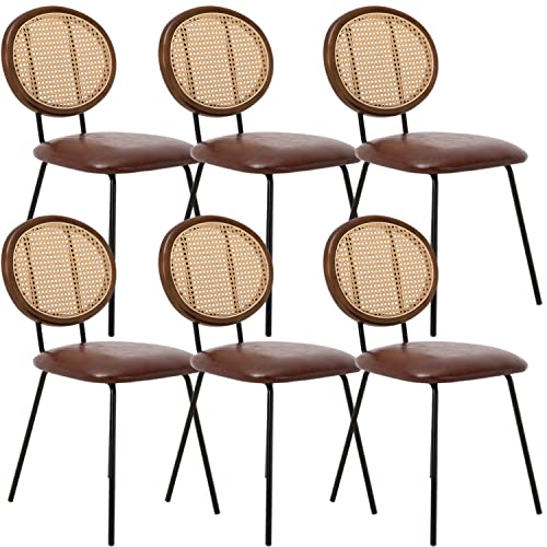 Okeysen Rattan Dining Chair,Indoor Kitchen Dining Chairs Set of 6,Mid-Century Modern Dining Chairs with Metal Leg&Rattan Backrest,Armless Mesh Back Cane Chairs for Dining Room