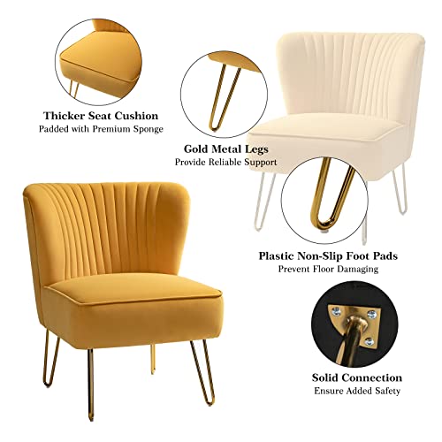 TINA'S HOME Small Velvet Accent Chair, Modern Armless Accent Chair with Golden Metal Legs & Velvet Tufted Upholstered, Living Room Velvet Dining Side Chair Suitable for Small Spaces, Mustard