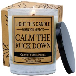 light this when you need to calm the fuck down 10 ounce soy candle