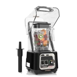 CRANDDI Quiet Smoothie Blender & K80 Tamper